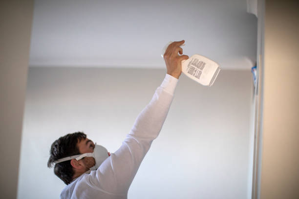 Best Residential Mold Remediation in New Smyrna Beach, FL